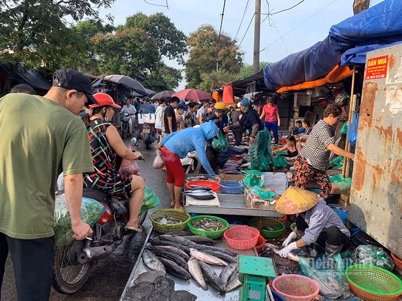 Di 5km qua nho dat gap 4, tu chuong ra cho ga tang gia 3 lan