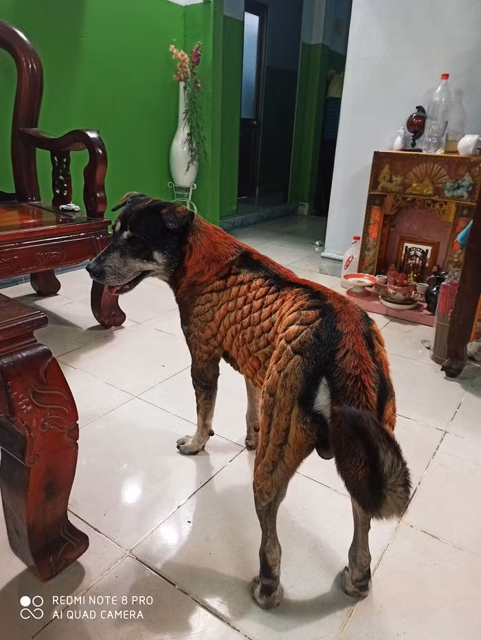 Nam thanh nien bi 'nem da' du doi khi 'bien' chu cho 'hoa rong'-Hinh-5