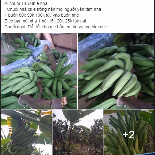 Vai nghin dong/kg chuoi tren cho mang, nguoi tieu dung thi nhau dat mua-Hinh-4
