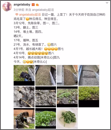 So huu hang tram trieu USD, Angela Baby van tu tay trong rau sach tai gia-Hinh-2