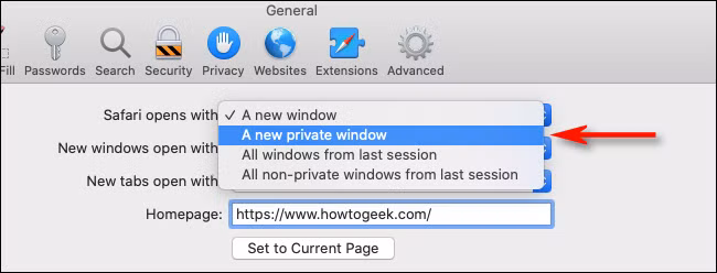 Cach de Safari tren macOS luon vao che do duyet web rieng tu-Hinh-4