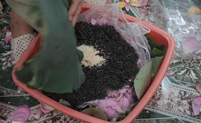 3 loại trà đắt bậc nhất, trong đó có loại ướp bằng 'quốc hoa' - Hình 16 3 loai tra dat bac nhat, trong do co loai uop bang 'quoc hoa'-Hinh-16