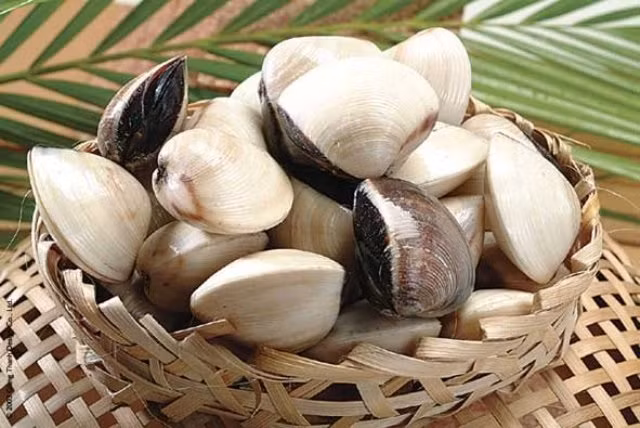 Mách bạn mẹo chọn ngao, sò, ốc tươi ngon nhất Mach ban meo chon ngao, so, oc tuoi ngon nhat