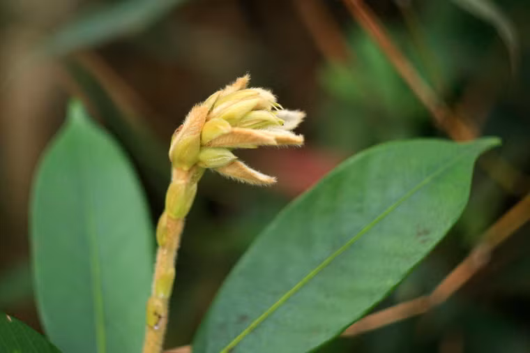 E ấp, dịu dàng.