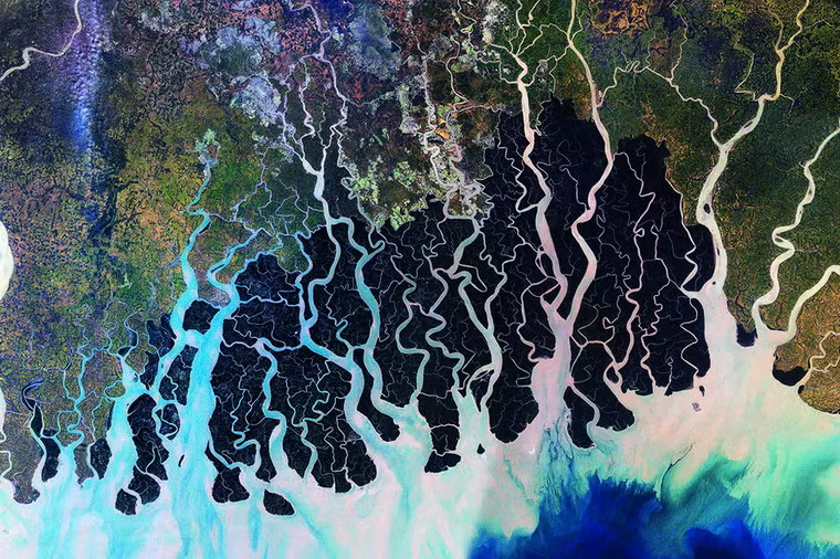Vẻ huyền bí của những cánh rừng đước ở vùng Sundurbans, phía Tây Bangladesh.