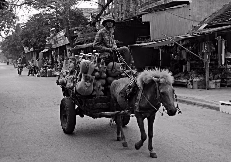 Xe ngựa chở đồ gốm ở Cẩm Giàng, Hải Dương. Ảnh: Rolf Kamras.