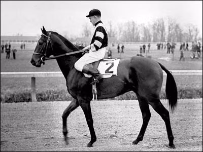 8. Là con trai của huyền thoại Man O' War, War Admiral đã chứng tỏ mình xứng đáng là kẻ kế thừa cha mình. Sinh năm 1934, chú ngựa này đã giành được nhiều chiến thắng vẻ vang trong sự nghiệp, trong đó có danh hiệu ngựa đua xuất sắc nhất năm 1937.