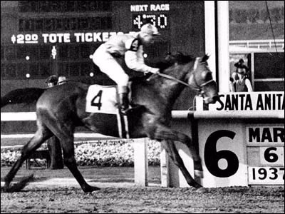 2. Là cháu trai của Man O' War, Seabiscuit thoạt đầu không có vẻ gì là một ngựa đua hứa hẹn. Nhưng tất cả đã thay đổi vào năm 1936, khi chú ngựa này thuộc về tay chủ mới là huấn luyện viên Tom Smith và nài ngựa Red Pollard. Kể từ đó, Seabiscuit liên tiếp giành những chiến thắng oanh liệt trước khi nghỉ hưu năm 1940.