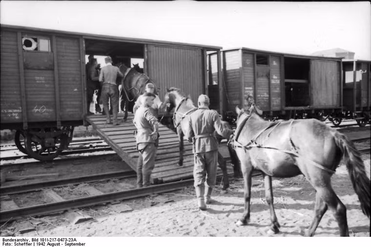 Lính Đức đưa ngựa lên tàu hỏa trong chiến dịch quân sự ở miền Nam Nga, 1942.