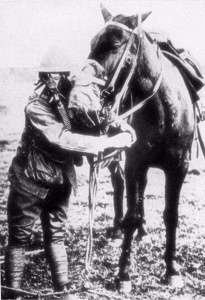 Lính Mỹ đeo mặt nạ phòng độc cho ngựa, 1917 - 1918.