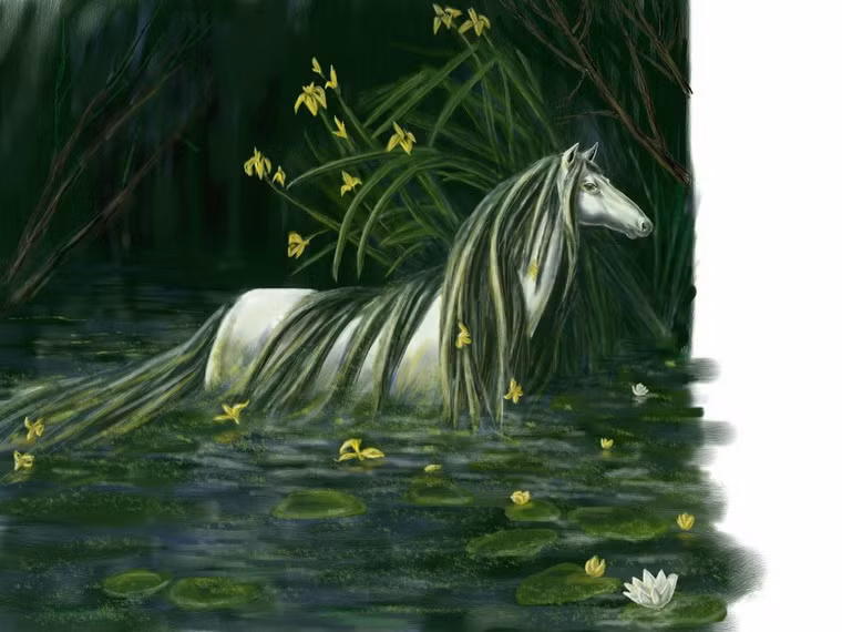Một dị bản khác của Kelpie là quái vật Glashtyn, sống trên đảo Nykur, Ireland. Glashtyn.