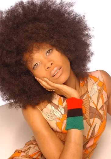 22. Mái tóc xù đậm chất châu Phi cùng tài năng thiên bẩm khiến nữ ca sĩ, nhạc sĩ Mỹ Erykah Badu (1971) trở thành một thần tượng của những người mê thể loại nhạc R&amp;B, jazz, hip hop…