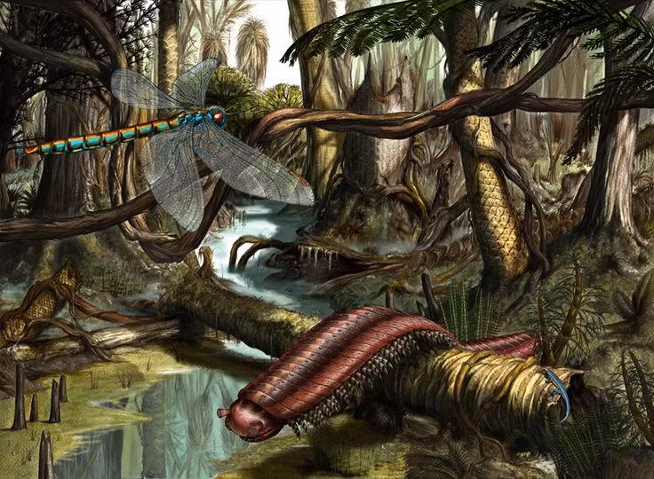  Không có hàm khỏe. Hóa thạch của Arthropleura không có dấu hiệu của bộ hàm lớn hoặc răng nanh sắc bén, củng cố giả thuyết chúng là loài ăn thực vật. Ảnh: Pinterest.