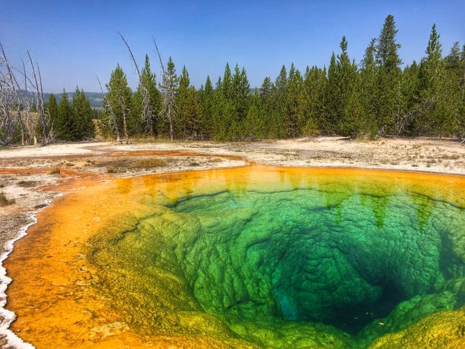  1. Vườn quốc gia Yellowstone (Mỹ). Là Vườn quốc gia đầu tiên trên thế giới (thành lập năm 1872), Yellowstone nổi tiếng với suối nước nóng Grand Prismatic, mạch nước phun Old Faithful cùng hệ động vật hoang dã phong phú với các loài như gấu xám, bò rừng. Ảnh: Pinterest.