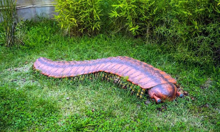  10. Hóa thạch rết cổ đại dài gần 3 mét. Loài rết hóa thạch Arthropleura, sống cách đây hơn 300 triệu năm, có thể dài tới 2,5 – 3 mét, là loài động vật chân đốt lớn nhất từng tồn tại. Ảnh: Pinterest.