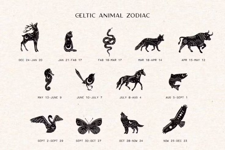 4. Có cả cung động vật Celtic. Ngoài cây cối, chiêm tinh học Druid còn có hệ thống cung động vật gồm 13 loài, như Cú, Nai, Sói, Rồng... Tương tự như cung hoàng đạo phương Tây, mỗi con vật đại diện cho tính cách của người sinh ra dưới dấu hiệu đó. Ảnh: Pinterest.