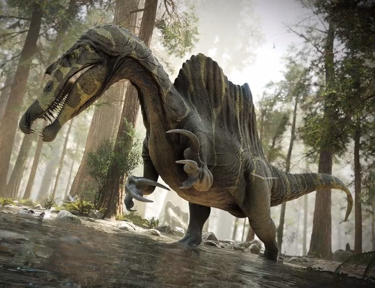  8. Vẫn còn nhiều bí ẩn chưa được giải đáp. Dù đã có nhiều nghiên cứu về Spinosaurus, nhưng sự hiểu biết của chúng ta về nó vẫn đang thay đổi liên tục. Các nhà khoa học tiếp tục khám phá thêm hóa thạch mới để xác định chính xác cách nó di chuyển, săn mồi và sinh sống. Ảnh: Pinterest.