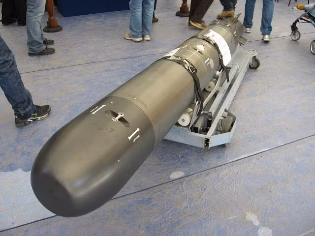  3. Từ "Torpedo" bắt nguồn từ cá đuối điện. Tên gọi "Torpedo" – ngư lôi trong tiếng Anh - xuất phát từ chi cá đuối điện Torpedo. Ảnh: Pinterest.