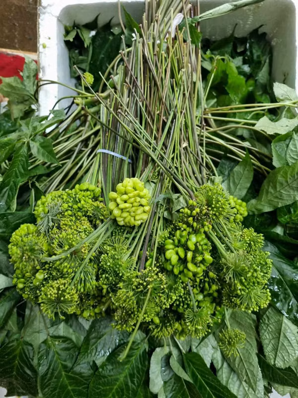 Kỳ lạ loại hoa giá 8 triệu/kg, khách vẫn xuống tiền mua ngâm rượu - Hình 4 Ky la loai hoa gia 8 trieu/kg, khach van xuong tien mua ngam ruou-Hinh-4