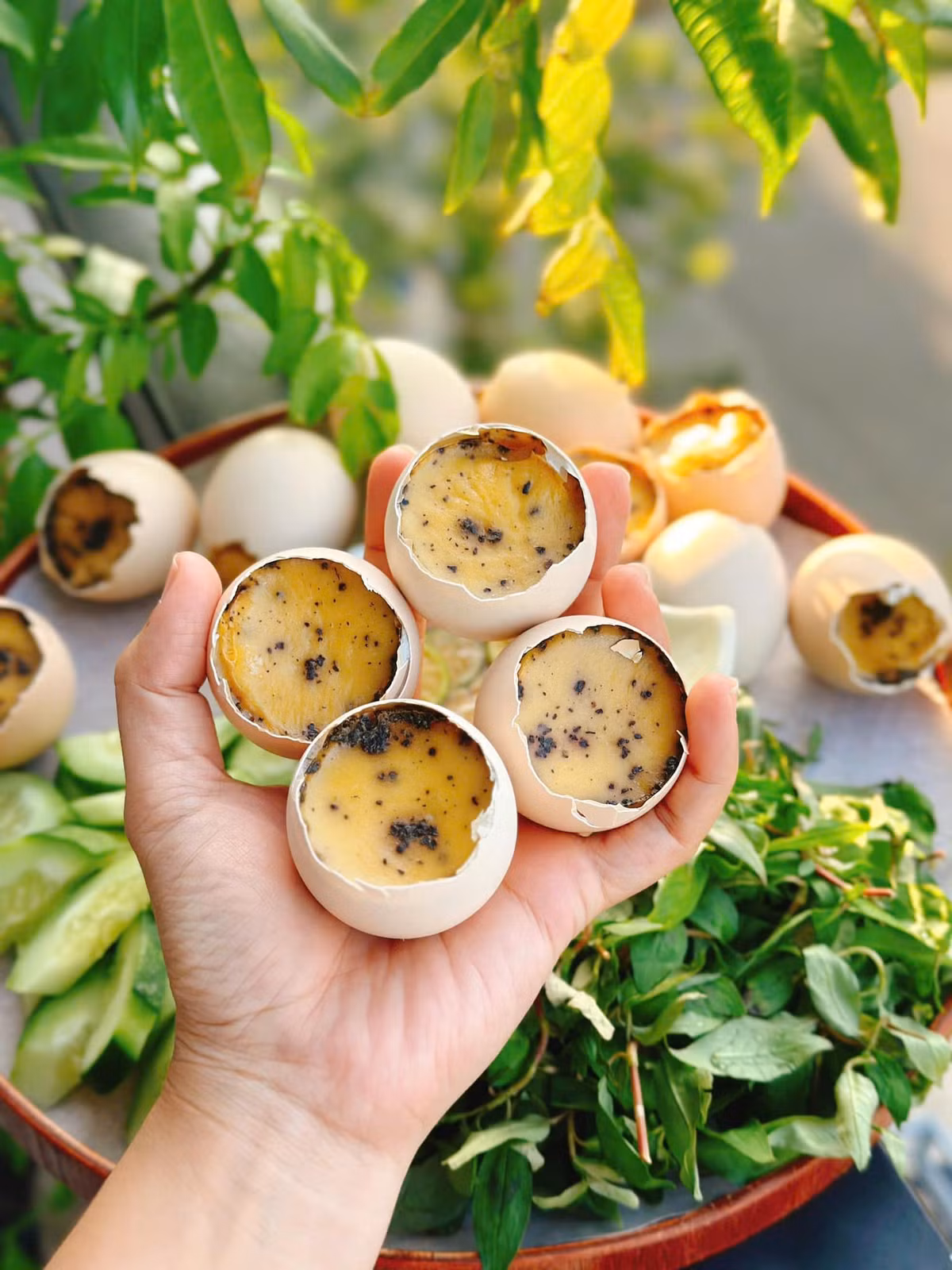 Loại quả vạn người mê, giàu protein và omega3 Loai qua van nguoi me, giau protein va omega3