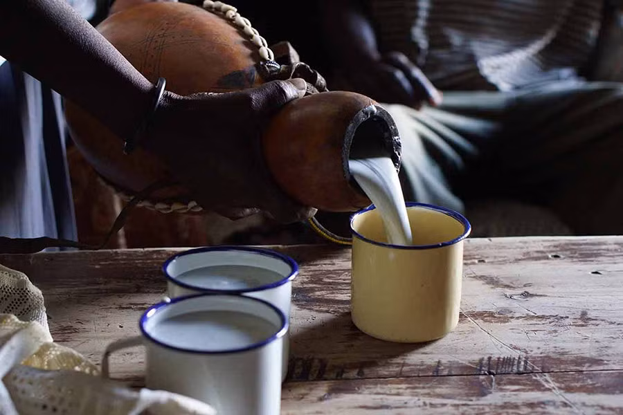  9. Mursik: Mursik là một biến thể sữa lên men của người Kalenjin ở Kenya. Nó được làm từ cả sữa dê và sữa bò, sau khi lên men sẽ được đựng trong quả bầu khô.