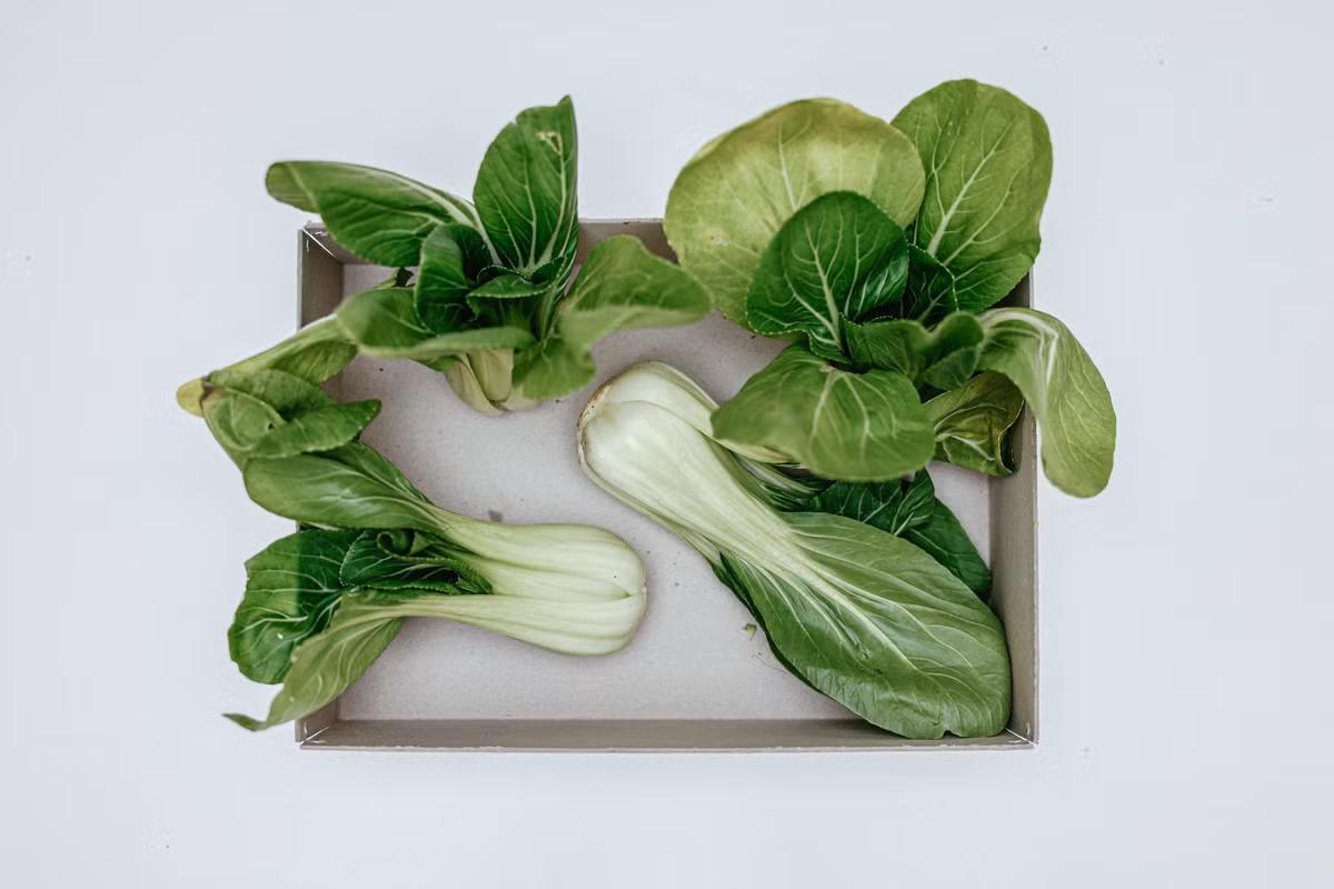  4. Rau xanh: Các loại rau có màu xanh như rau arugula, cải xoăn, rau bina và cải cầu vồng chứa nhiều folate, một loại vitamin nhóm B quan trọng đối với chất dẫn truyền thần kinh. Thiếu folate làm gia tăng các triệu chứng của trầm cảm và lão hóa nhận thức. Ảnh: Pexels.