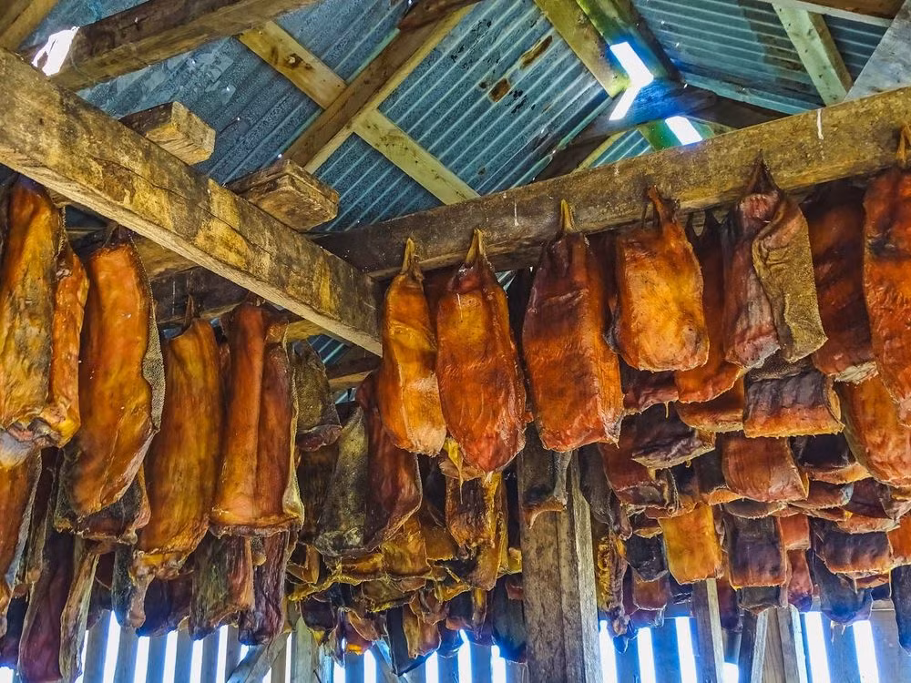  7. Hakarl, Iceland: Lịch sử hình thành hakarl là một bí ẩn, nhưng ngày nay nó là một món ăn truyền thống của Iceland. Để chuẩn bị món ăn này, họ lấy ruột và chặt đầu một con cá mập Greenland. Loài cá này không giống như những loài cá thông thường, nó có mùi khai rất nồng. Thịt cá được chôn dưới đất trong vòng từ 2 đến 3 tháng, sau đó cắt thành từng dải và phơi khô trong vài tháng nữa trước khi sử dụng.