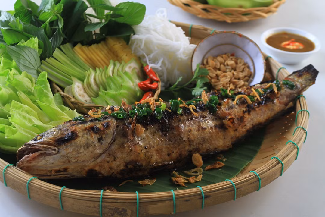 Có lẽ do những điểm đặc trưng về môi trường sống mà thịt cá tràu tiến vua rất khác cá tràu thường, ăn rất chắc và thơm. Hiện tại cá tràu tiến vua đang được bảo tồn và nhân nuôi rộng rãi ở Ninh Bình. Chúng đã trở thành đặc sản ẩm thực mang đậm dấu ấn lịch sử văn hóa của vùng đất cố đô Hoa Lư văn hiến.