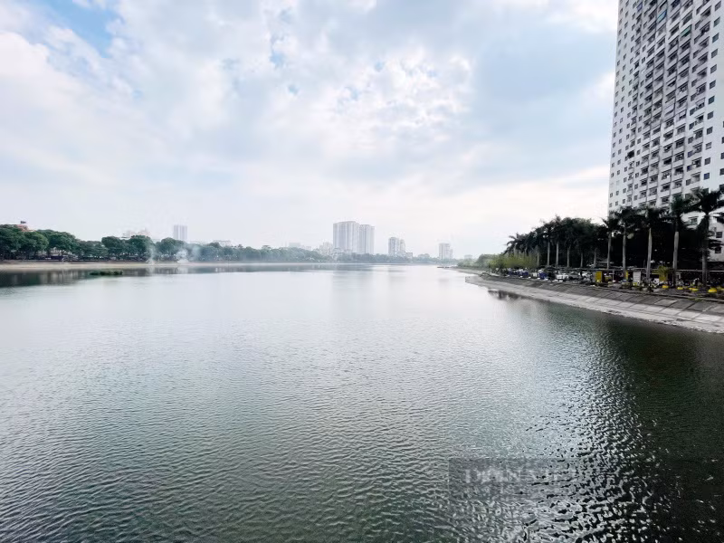Cá nhảy khỏi mặt nước hồ Linh Đàm, chuyên gia cho biết lý do - Hình 2 Ca nhay khoi mat nuoc ho Linh Dam, chuyen gia cho biet ly do-Hinh-2
