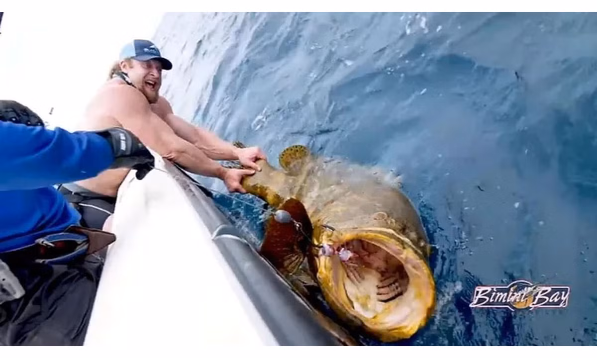 Sự kiện diễn ra trong chương trình câu cá của kênh BlacktipH, một trong những kênh câu cá nước mặn nổi tiếng nhất thế giới.