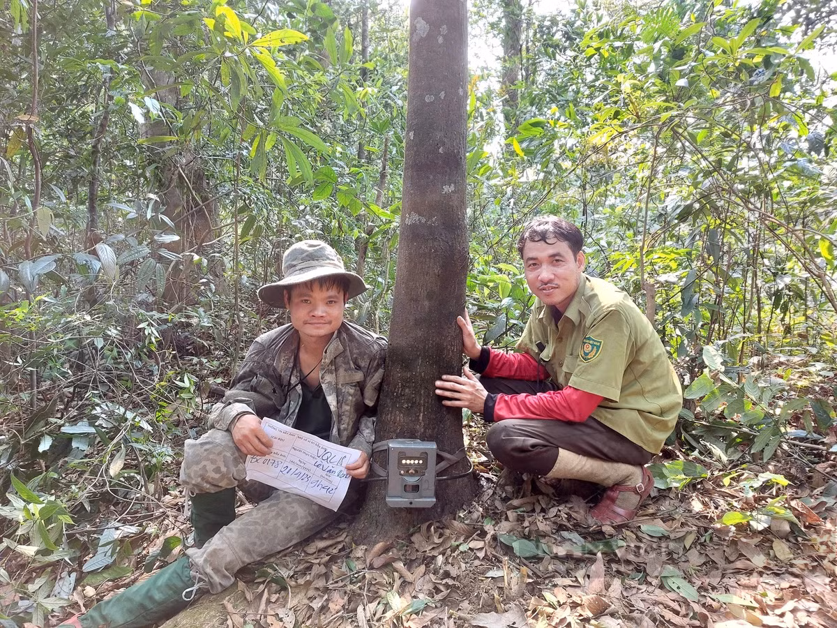 Theo ông Nguyễn Việt Hùng - Trưởng phòng Khoa học và Hợp tác quốc tế, Vườn Quốc gia Vũ Quang, Vườn Quốc gia Vũ Quang đã đặt 85 điểm đặt bẫy ảnh, giám sát đa dạng sinh học tại vườn ghi nhận được 58 loài động vật hoang dã, quý hiếm.