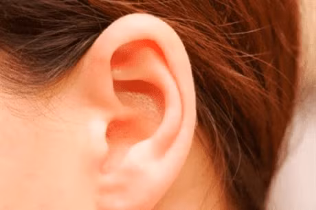  Ở giai đoạn đầu đời, những người mang đôi tai bạt nhĩ thường không có của, phải đến ngoài 40 tuổi mới hiển lộ tài năng. Cũng phải từ giai đoạn này trở đi thì công việc, tài lộc, tiền bạc mới thuận lợi, thặng dư được nhiều. 
