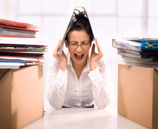 Sau đó, cô gái thú nhận với các nhà điều tra rằng, cô làm điều đó không phải là vì không đủ khả năng để mua nó, mà chỉ muốn làm một điều gì đó điên rồ để giải tỏa áp lực.