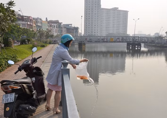 Vì thế mà cứ đến dịp Tết ông Công ông Táo là người Việt lại làm lễ cúng và thả phóng sinh cá chép ra sông hay ao, hồ... với ngụ ý là cá sẽ hóa rồng để Táo quân cưỡi, vượt vũ môn lên thiên đình