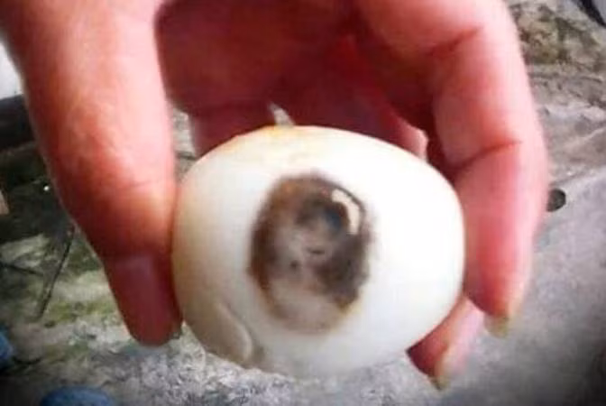 Quả trứng gà in hình mỹ nhân.