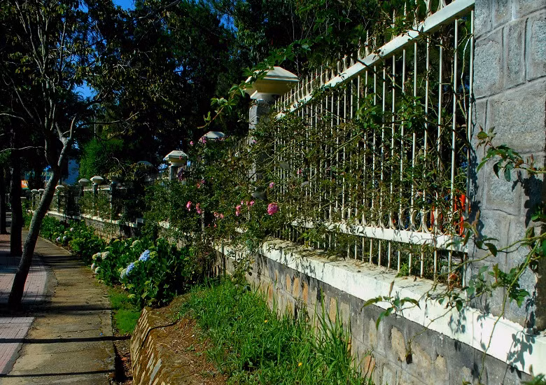 Và việc dùng cây xanh để trang trí bờ rào của những biệt thự hay tòa nhà công sở đã được định từ trước. Vì thế, rất dễ dàng để bắt gặp những bờ rào thơ mộng, quanh co, đẹp như tranh vẽ. 