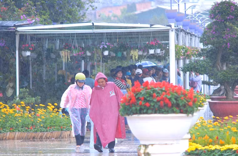  ... gây không ít phiền toái cho du khách thăm quan.