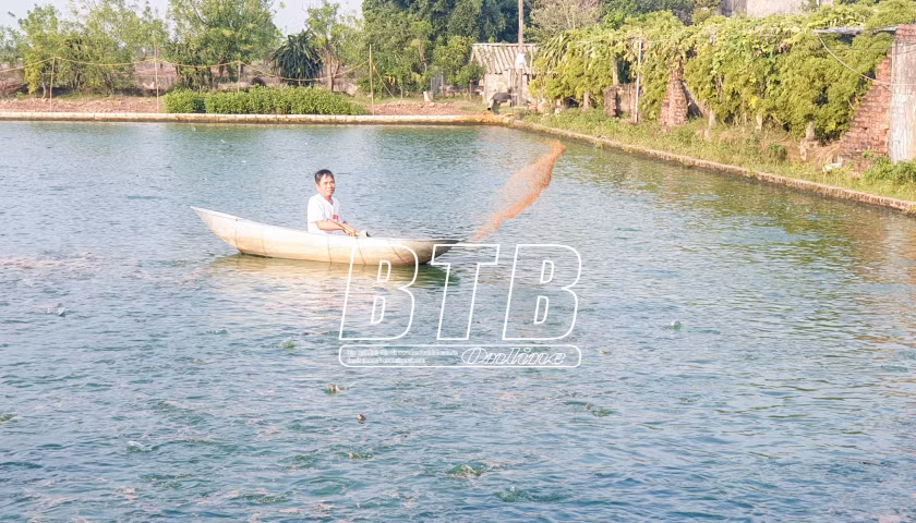 Nuoi ca be, cham kieu gi ong nong dan Thai Binh thu tien ty?