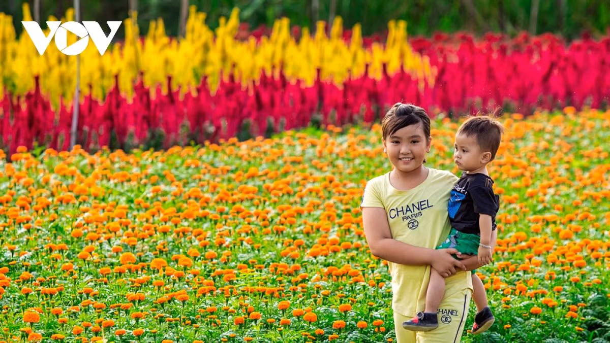 Tân Ba là làng hoa duy nhất tại Bình Dương, nên những ngày cận Tết rất nhiều du khách các nơi tìm về tham quan, chụp ảnh lưu niệm.