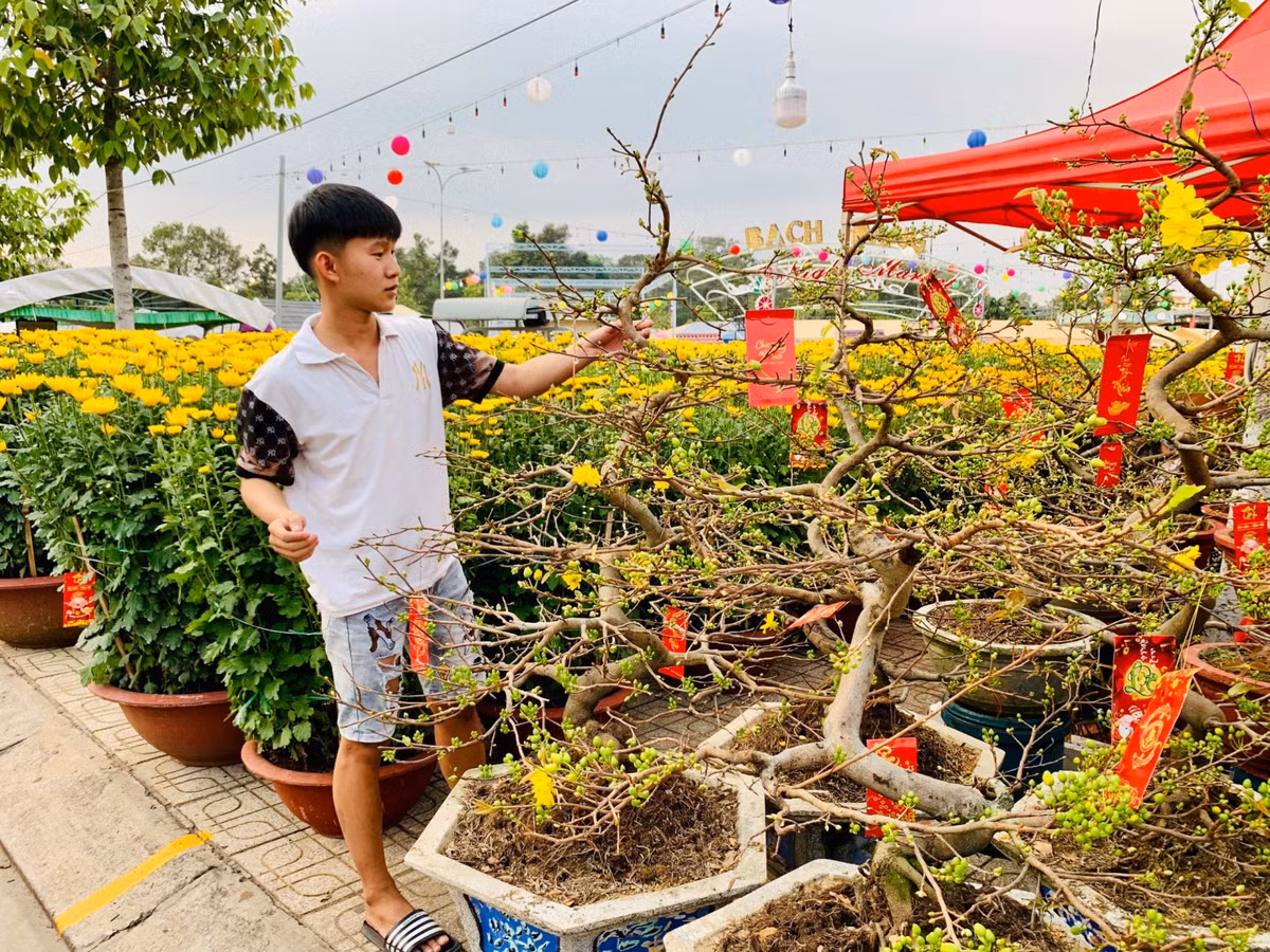 Chợ tết Bình Dương, dân tình chụp hình chậu quất hình rồng YAHOO 25 - Hình 10 Cho tet Binh Duong, dan tinh chup hinh chau quat hinh rong YAHOO 25-Hinh-10