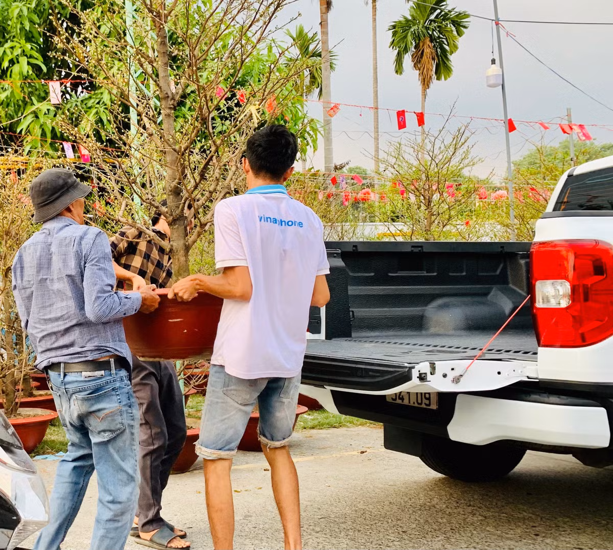 Chợ tết Bình Dương, dân tình chụp hình chậu quất hình rồng YAHOO 25 - Hình 9 Cho tet Binh Duong, dan tinh chup hinh chau quat hinh rong YAHOO 25-Hinh-9