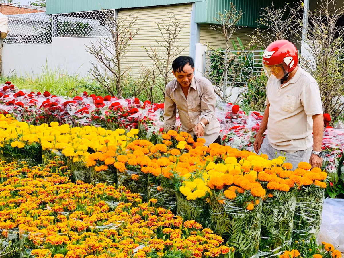 Chợ tết Bình Dương, dân tình chụp hình chậu quất hình rồng YAHOO 25 - Hình 7 Cho tet Binh Duong, dan tinh chup hinh chau quat hinh rong YAHOO 25-Hinh-7