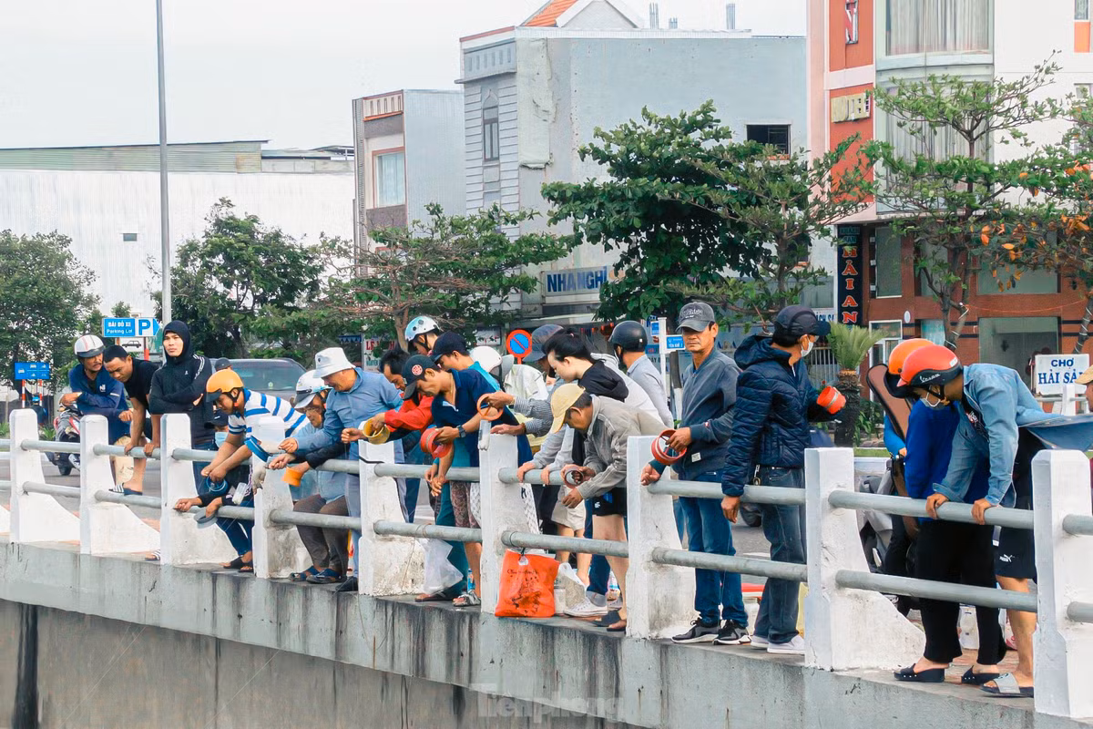 Tại cầu Phú Lộc (phường Thanh Khê Tây, quận Thanh Khê, Đà Nẵng) nơi sông Phú Lộc đổ ra biển, hàng ngày thu hút hàng chục cần thủ đổ về để câu cá, không chỉ đơn giản là giải trí, tìm niềm vui mà còn có thể kiếm thêm thu nhập.