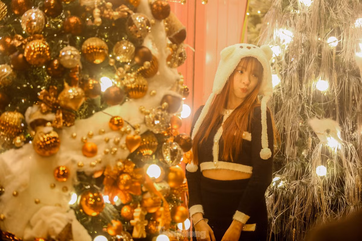 Những "bóng hồng" xinh đẹp thả dáng bên cạnh cây thông Noel.