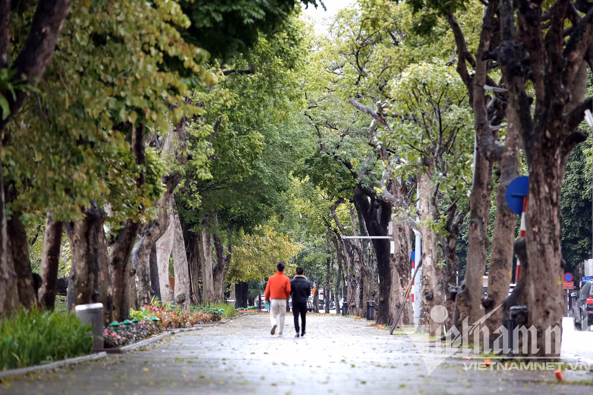 Mua ret buot o Ha Noi, can thu van dam minh o ho Guom-Hinh-10