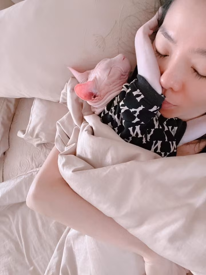 Le Quyen dap tra cuc gat khi thu cung bi che bai