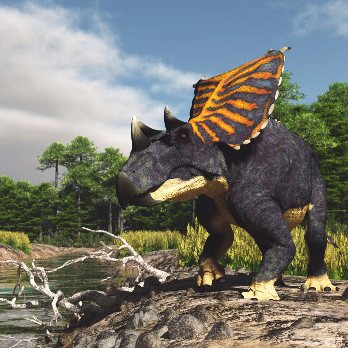 Chasmosaurus là chi khủng long sống vào 75-70 triệu năm trước, phân bố ở Bắc Mỹ. Dài 5-7 mét và nặng 2,5-3,5 tấn, chúng có khung xương phần diềm khá yếu. Các nhà nghiên cứu cho rằng diềm của Chasmosaurus được dùng để ve vãn bạn tình chứ không thực sự hiệu quả trong phòng vệ.