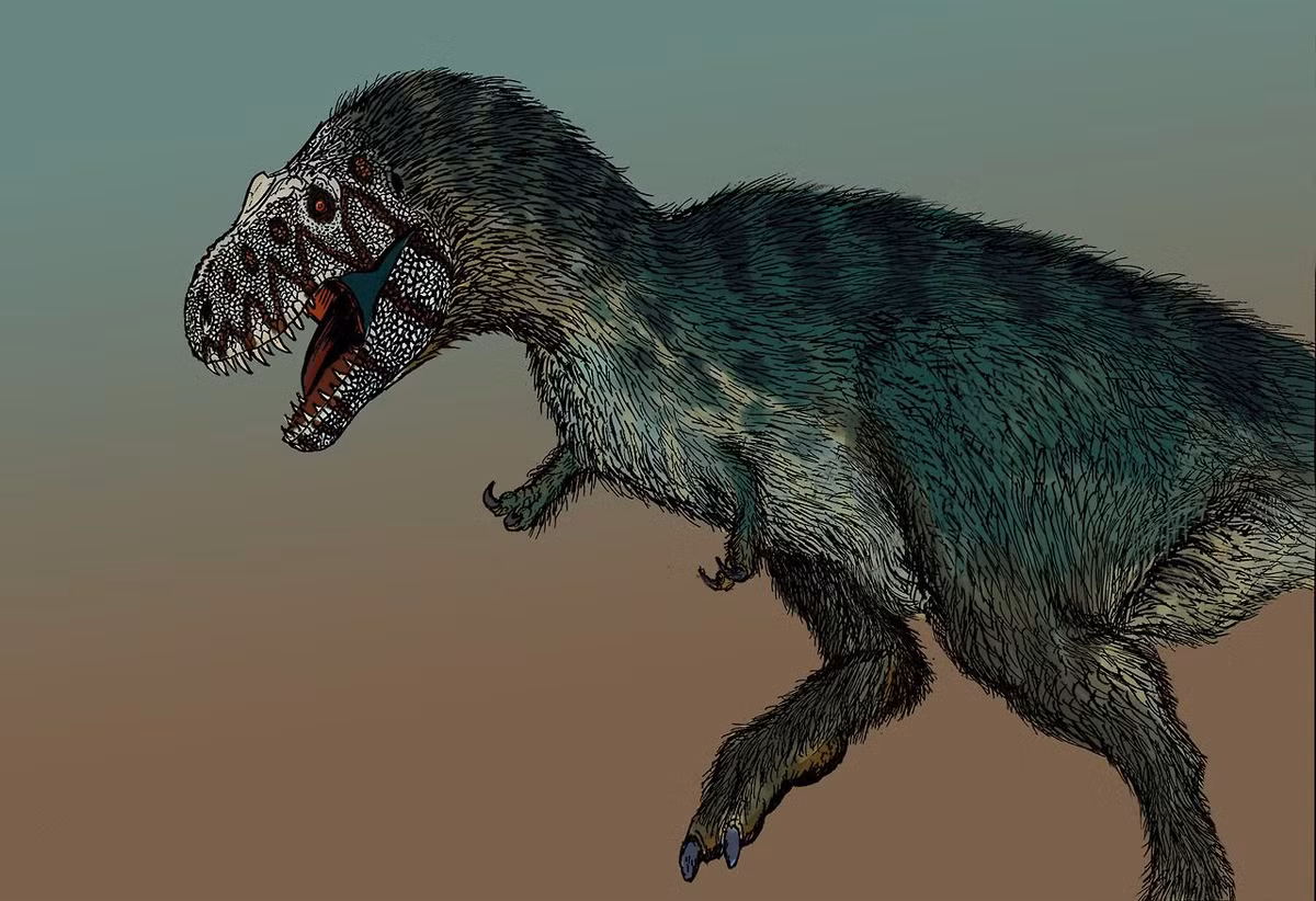 Ngoài ra, Sue là bộ xương T-rex đầu tiên được phát hiện có xương đòn, một khám phá quan trọng hỗ trợ cho giả thuyết của các nhà khoa học rằng chim là hậu duệ trực tiếp của các loài khủng long ăn thịt.