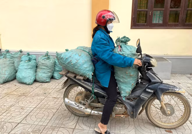 Huyện Kỳ Sơn hiện có gần 800ha gừng, tập trung ở một số xã như Na Ngoi, Tây Sơn, Đọoc Mạy, Nậm Cắn, Huồi Tụ, Keng Đu và Phà Đánh. Đây là vùng có thời tiết mát mẻ, mây mù bao phủ, gừng được trồng ở lưng chừng núi nên phù hợp với quá trình sinh trưởng và phát triển, cho năng suất khá cao.