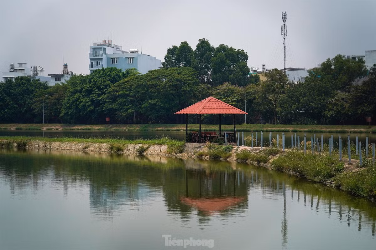 Đoạn đường Kênh Nước Đen còn có thêm một khung cảnh khá thơ mộng chính là hồ xử lý nước thải Bình Hưng Hoà.